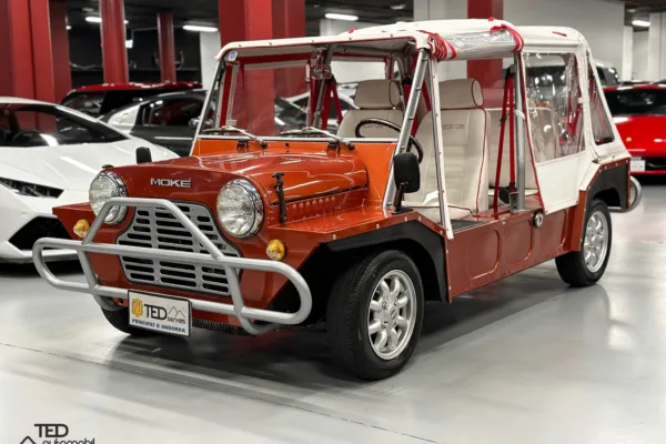 Mini Moke Principale