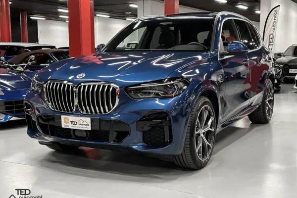 BMW X5 45 E BLAU PRINCI