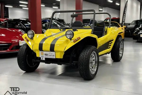 LM BUGGY VW PRINCI
