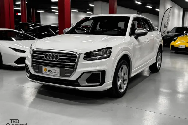 Audi Q2 190cv TFSI Quattro Principale