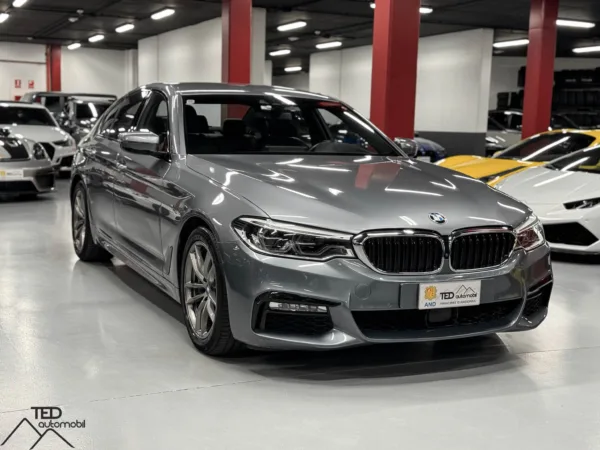 BMW 530d X Drive 4x4 Pack M 265cv 03