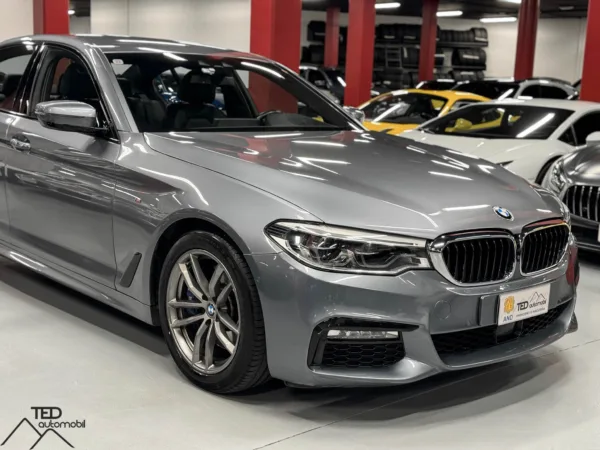 BMW 530d X Drive 4x4 Pack M 265cv 04