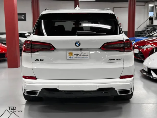 BMW X5 30 D X Line 265cv 08