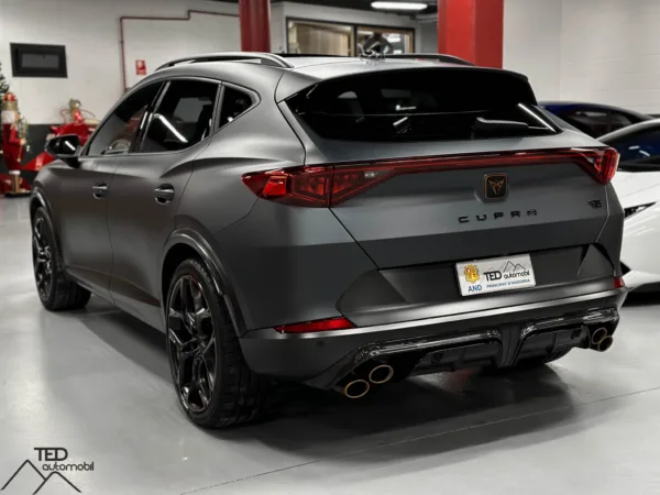 Cupra Formentor T Si VZ5 390cv 09