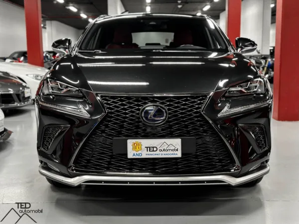 Lexus NX 300h Hybrid 02