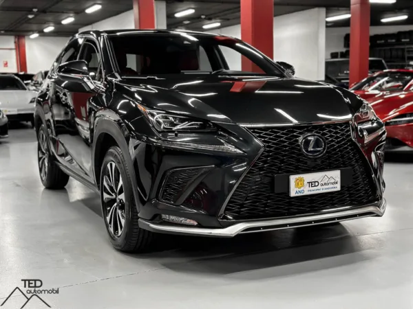 Lexus NX 300h Hybrid 03