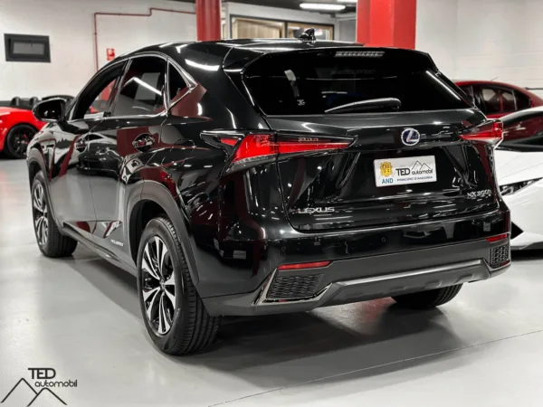 Lexus NX 300h Hybrid 09