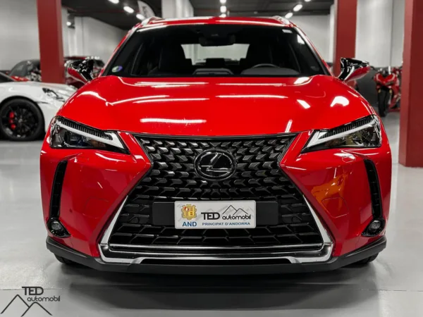 Lexus UX 250 H 184cv 02