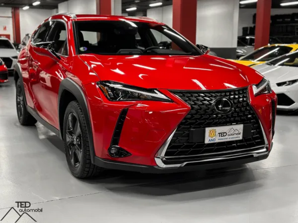 Lexus UX 250 H 184cv 03