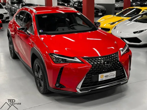 Lexus UX 250 H 184cv 04