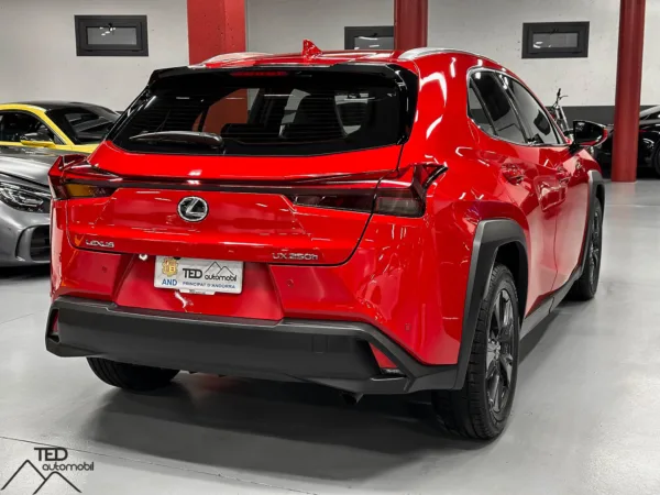 Lexus UX 250 H 184cv 06