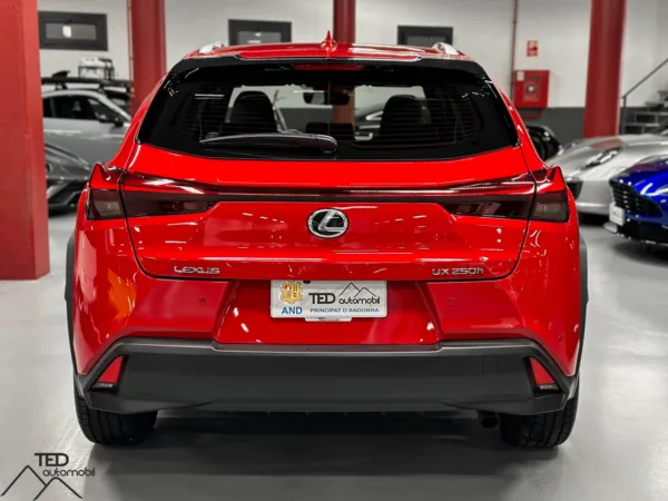 Lexus UX 250 H 184cv 07