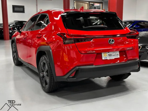 Lexus UX 250 H 184cv 08