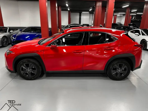 Lexus UX 250 H 184cv 10