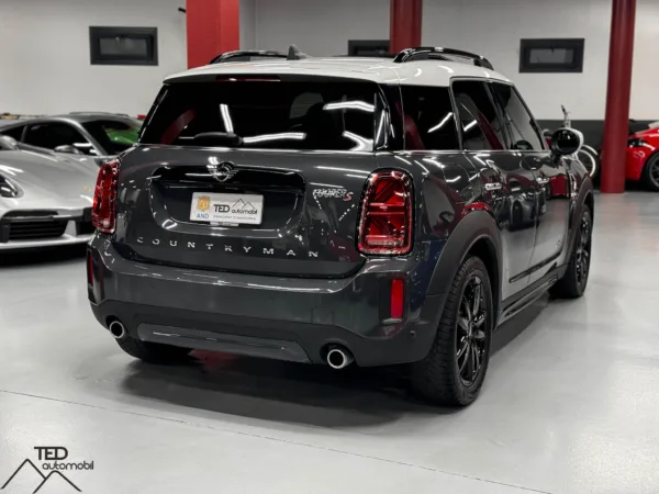 Mini Countryman Cooper S All4 178cv 04