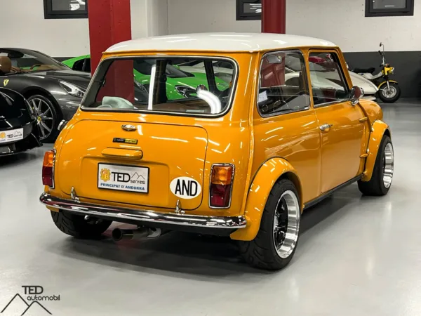 Mini Classic renovat 08