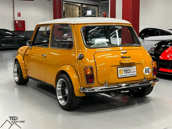 Mini Classic renovat 10