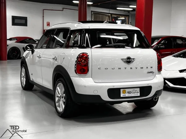 Mini Countryman Cooper D 06