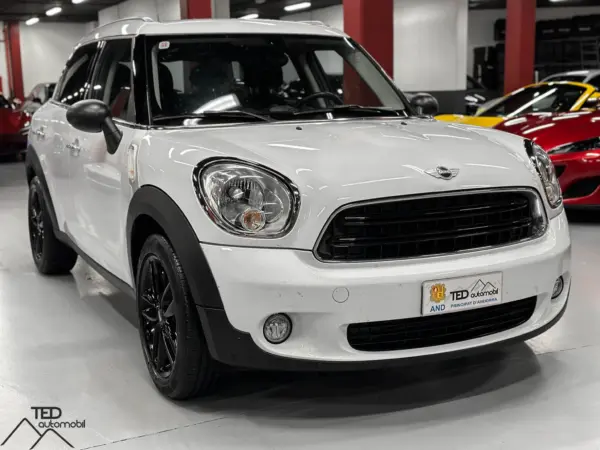 Mini Countryman One D 03