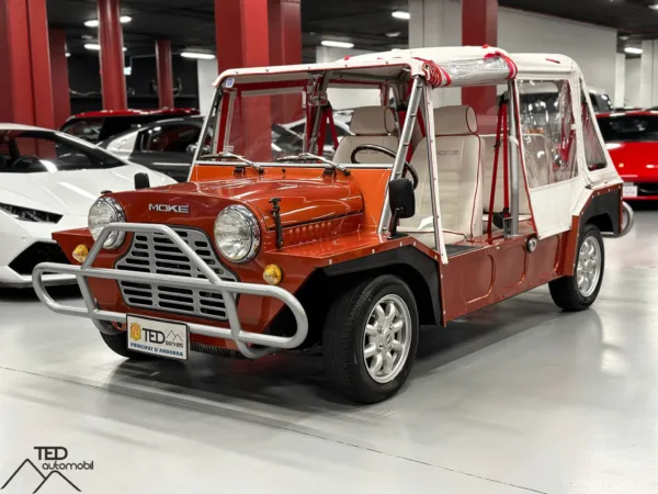 Mini Moke Principale