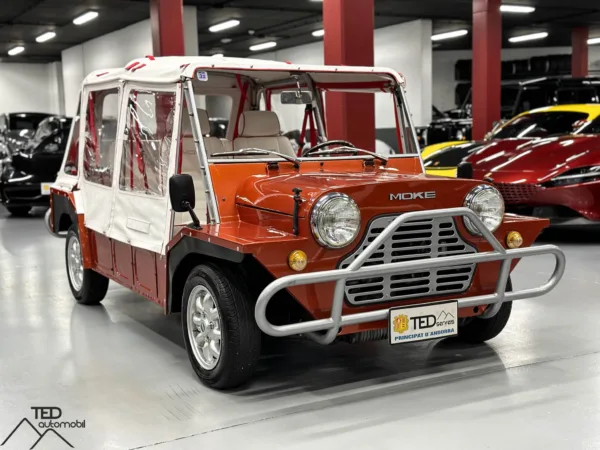 Mini Moke 03