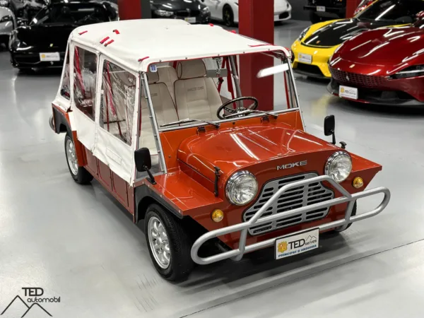 Mini Moke 04