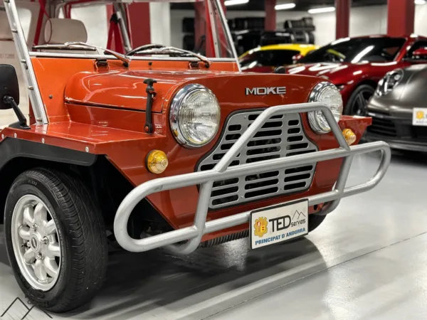 Mini Moke 06