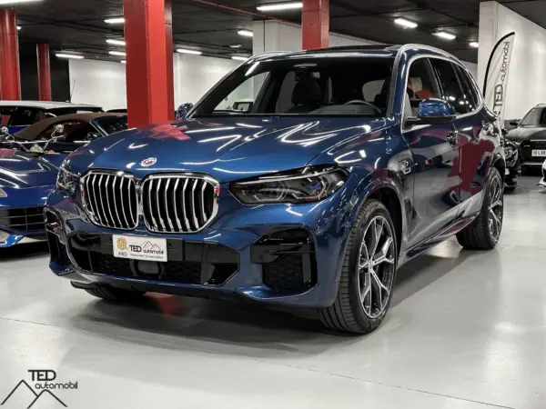 BMW X5 45 E BLAU PRINCI