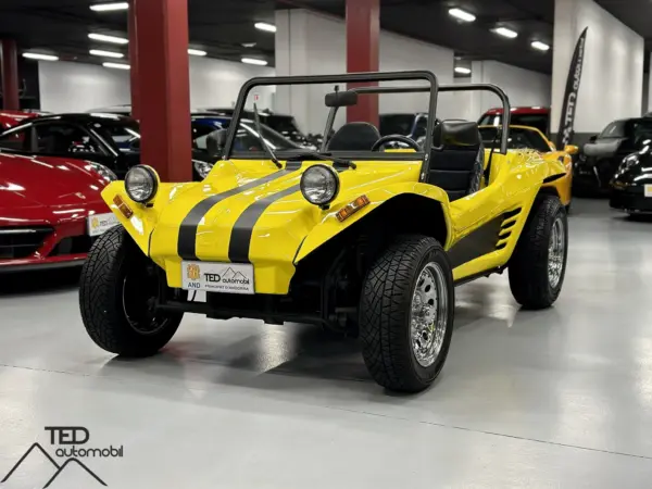 LM BUGGY VW PRINCI