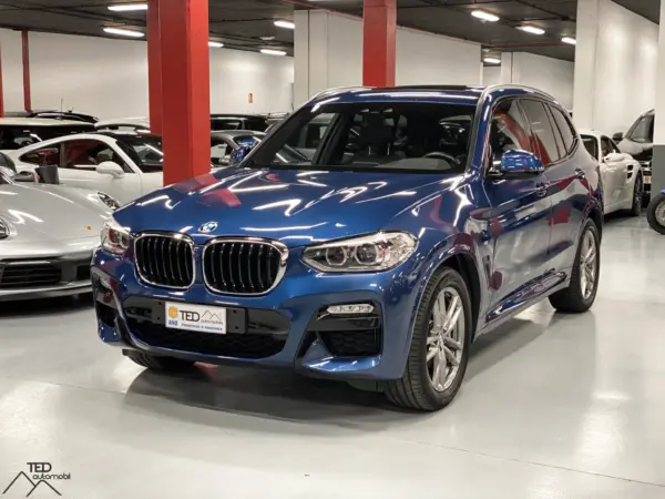 BMW X3 30 D BLAU PRINCI