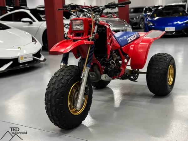 Honda 250 R Trike ATC Principale