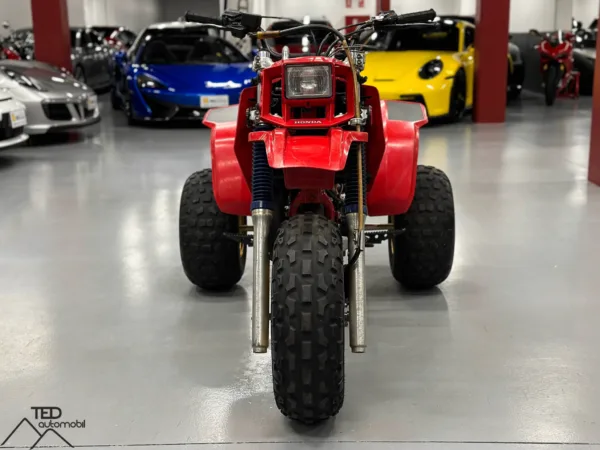 Honda 250 R Trike ATC 02