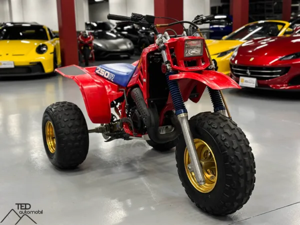 Honda 250 R Trike ATC 03