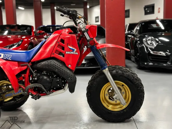 Honda 250 R Trike ATC 04