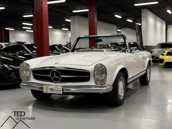 IMG 0671