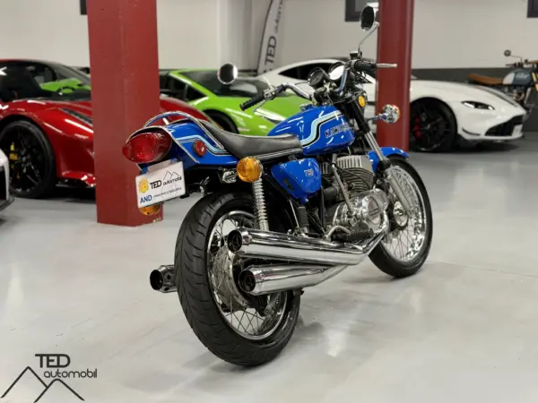 IMG 5687 resultado