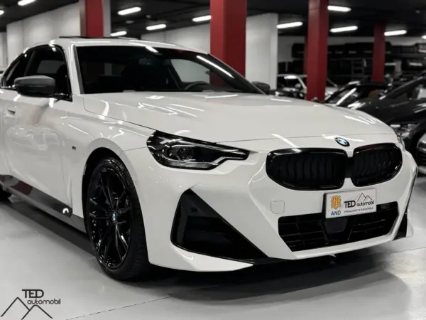 BMW 230i 245cv 04