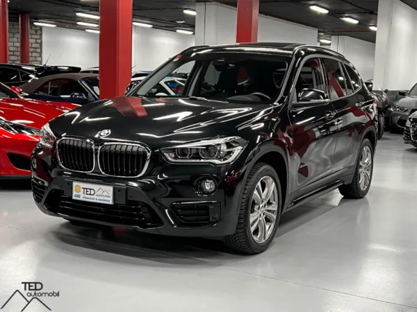 BMW X1 25d X Drive 231cv Principale