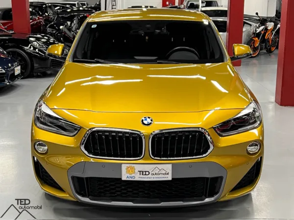 BMW X2 20d 190cv Xdrive pack M 02