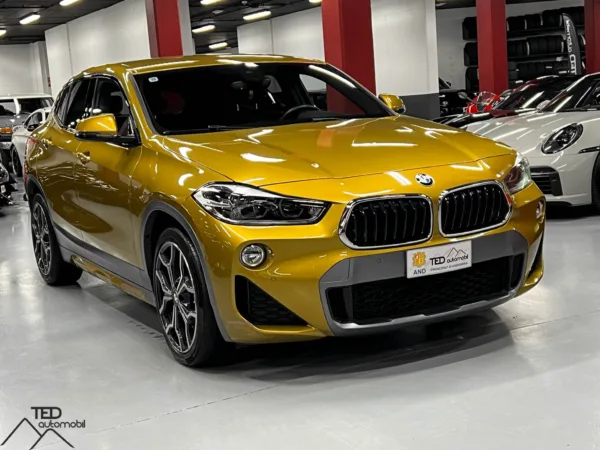 BMW X2 20d 190cv Xdrive pack M 03