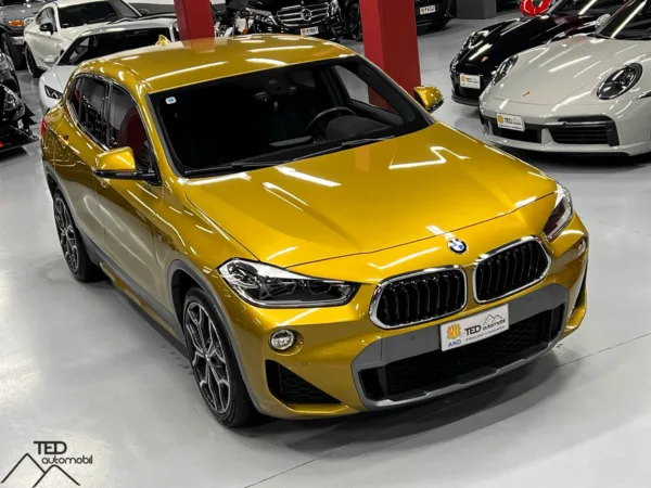 BMW X2 20d 190cv Xdrive pack M 04