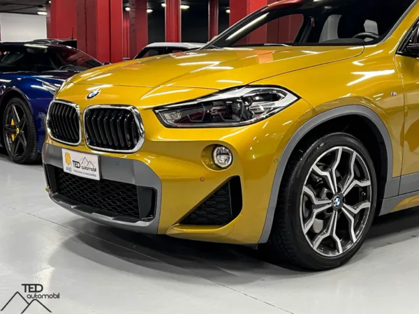 BMW X2 20d 190cv Xdrive pack M 06