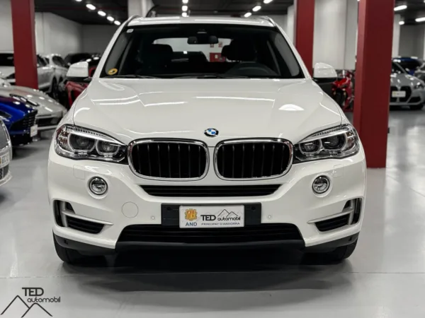 BMW X5 30d 258cv X Drive 02