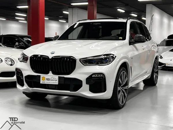 BMW X5 M50 D 400cv 2019 Principale