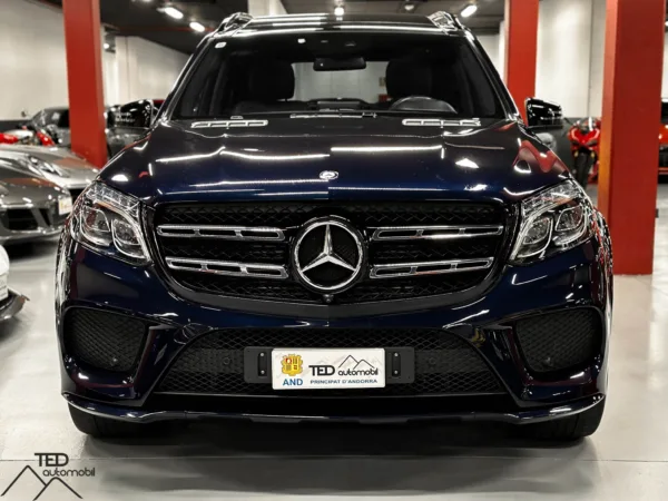 Mercedes GLS 350d 4 Matic 258cv 02