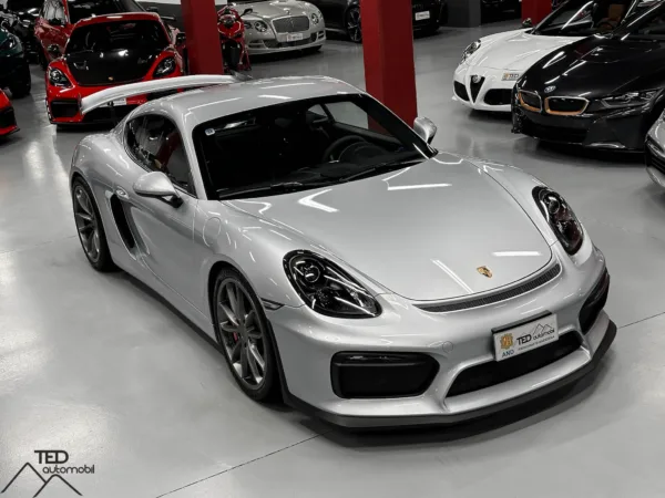 Porsche GT4 Cayman II 385cv 03