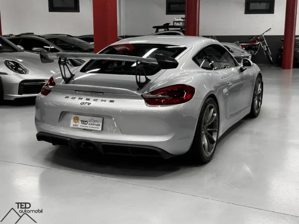 Porsche GT4 Cayman II 385cv 06