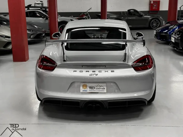 Porsche GT4 Cayman II 385cv 07