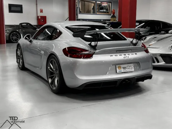 Porsche GT4 Cayman II 385cv 08