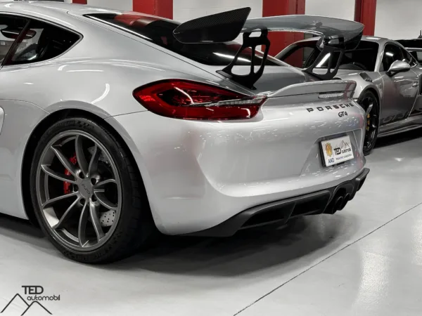 Porsche GT4 Cayman II 385cv 09